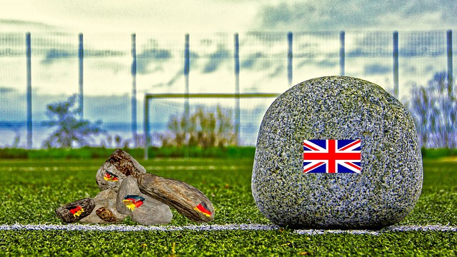 共同进步的 共同进步的