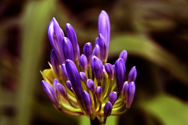 短期内暴涨 短期内暴涨