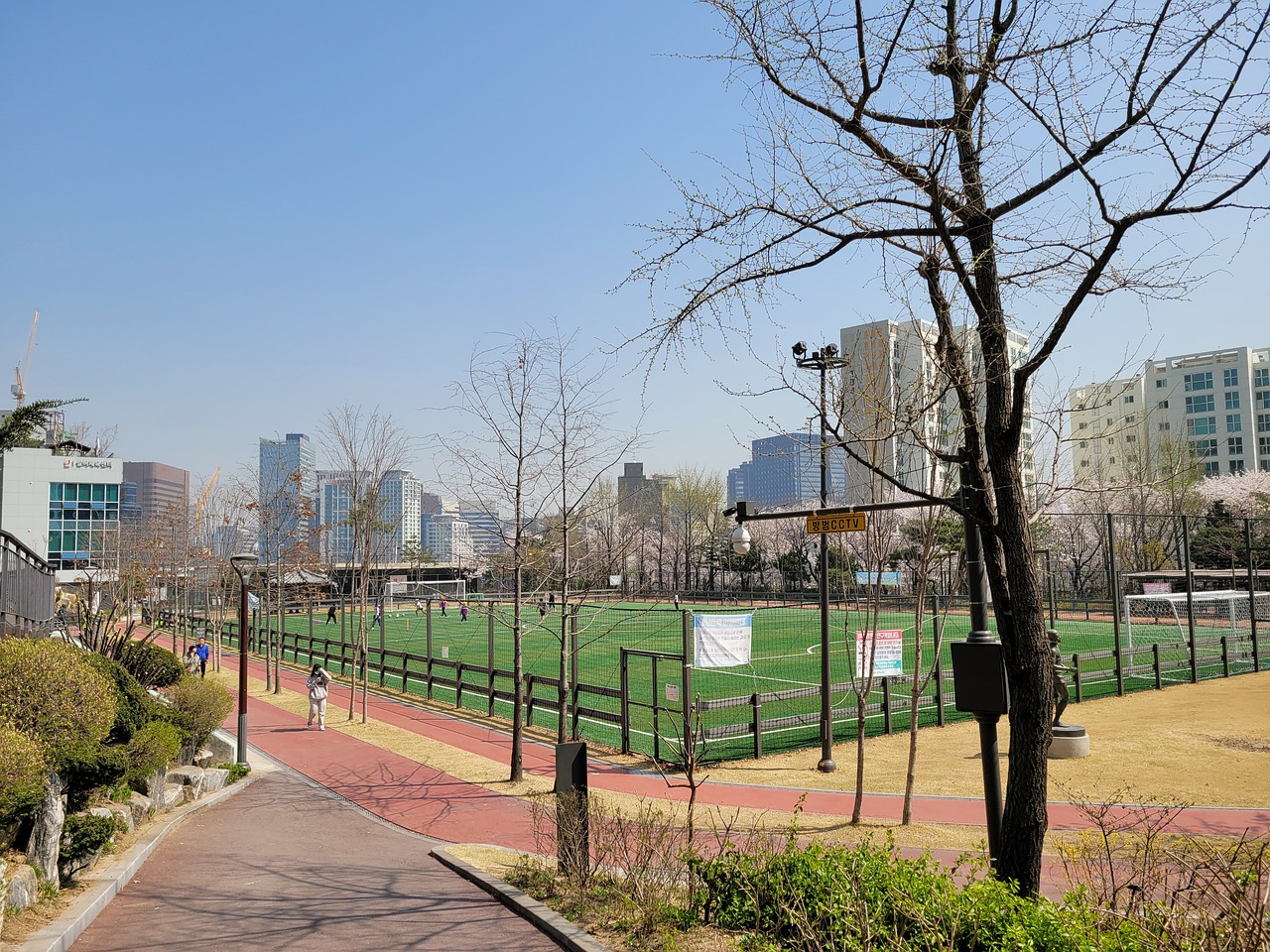 球员表现 球员表现