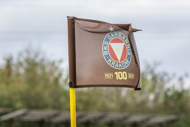 河南队的 河南队的