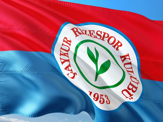 予了厚望 予了厚望